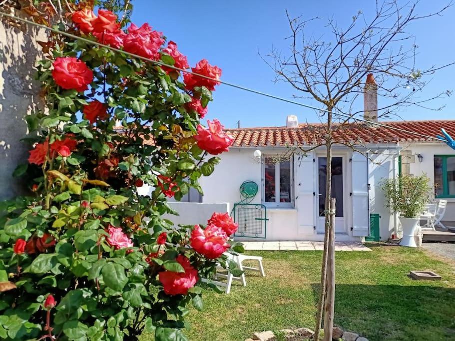 הוילה סן-ז'יל-קרואה-דה-וי La Maison Du Marin מראה חיצוני תמונה
